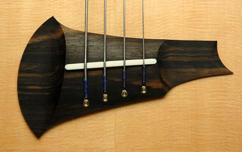 Acoustic Bass Guitar