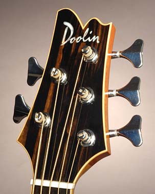 Acoustic Bass Guitar