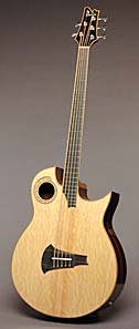 Acoustic Bass Guitar