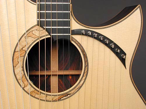 Doolin Harp Guitar