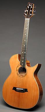 Fanned-Frets