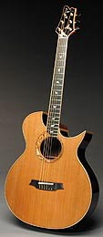 Virtual 12-fret Option